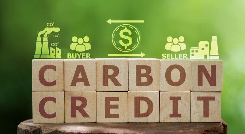 Carbon credit và thị trường tín chỉ carbon toàn cầu